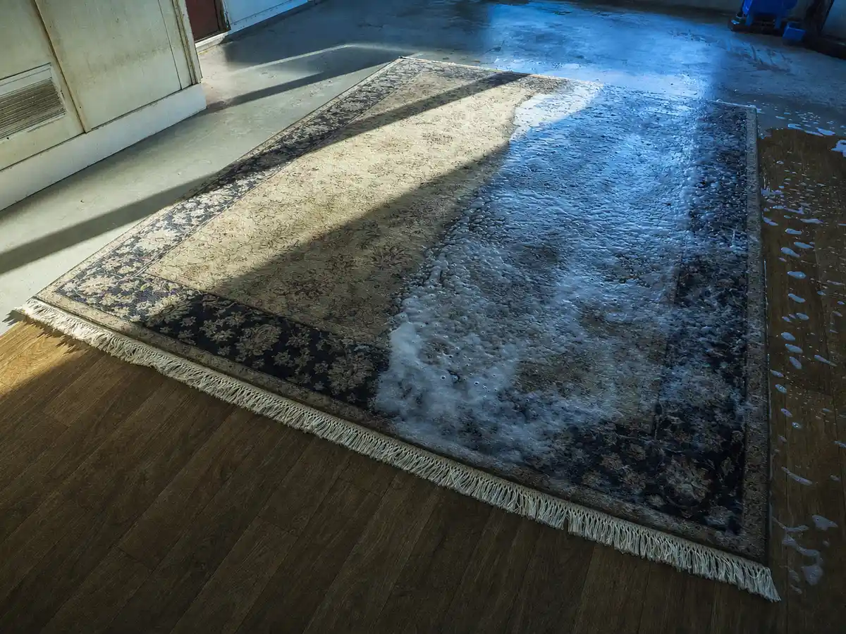 Rug Cleaning in Thousand Oaks, CA
